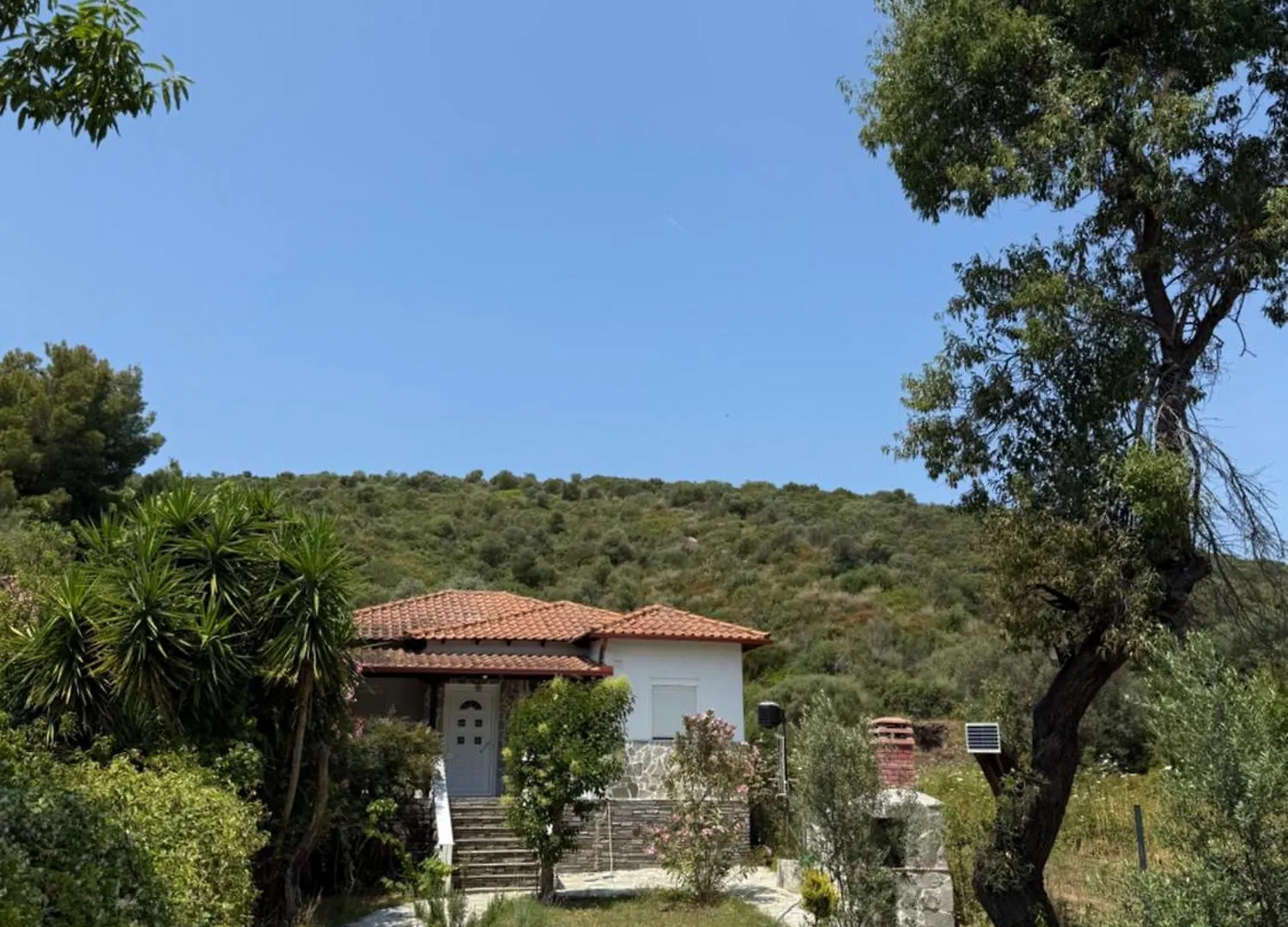 Villa Alexandros アムリアニ
